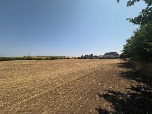 Prodej zahrady, Ořechov, 500 m2