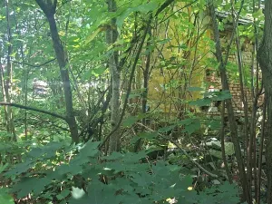 Prodej pozemku pro bydlení, Kozlovice, 1392 m2