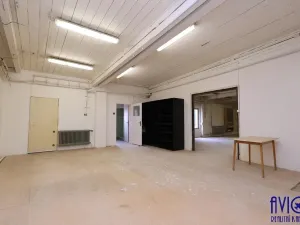 Pronájem výrobních prostor, Praha - Čakovice, Na bahnech, 160 m2