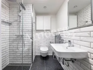 Pronájem bytu 1+kk, Praha - Karlín, Sokolovská, 28 m2
