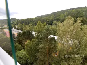 Prodej bytu 3+1, Děčín, Na Pěšině, 81 m2
