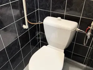 Pronájem obchodního prostoru, Liberec, Hanychovská, 47 m2