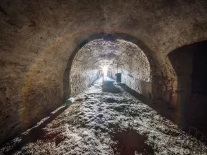 Prodej rodinného domu, Žeravice, 80 m2