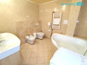 Pronájem bytu 4+kk, Plzeň, Zbrojnická, 102 m2