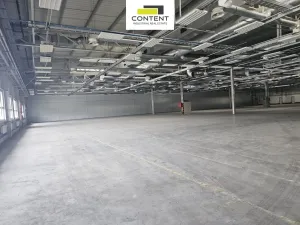 Pronájem skladu, Plzeň - Skvrňany, U Nové Hospody, 9800 m2