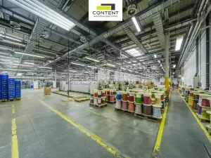 Pronájem skladu, Plzeň - Skvrňany, U Nové Hospody, 9800 m2
