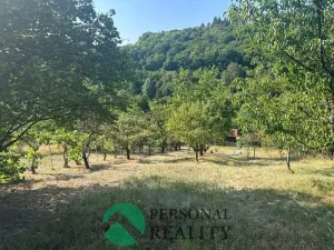Prodej zahrady, Rakovník, 330 m2