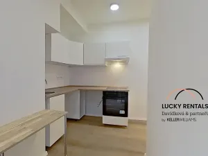 Pronájem bytu 1+1, Praha - Podolí, U Kublova, 41 m2