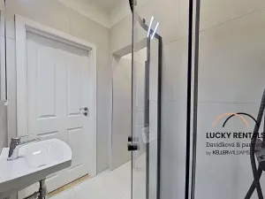 Pronájem bytu 1+1, Praha - Podolí, U Kublova, 41 m2