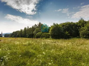 Prodej pozemku, Přední Výtoň, 1161 m2