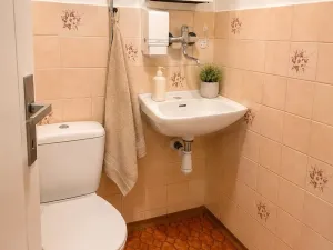 Pronájem rodinného domu, Hradec Králové, K Hvězdárně, 280 m2