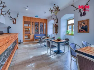 Prodej rodinného domu, Manětín - Rabštejn nad Střelou, 1250 m2
