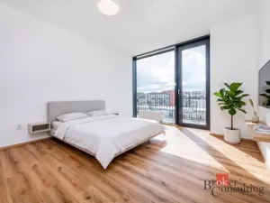 Pronájem bytu 2+kk, Plzeň - Jižní Předměstí, Železná, 66 m2