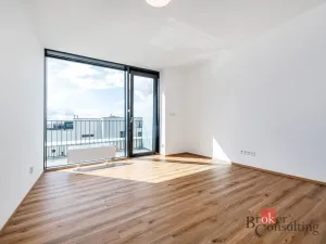 Pronájem bytu 2+kk, Plzeň - Jižní Předměstí, Železná, 66 m2