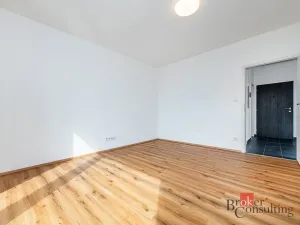 Pronájem bytu 2+kk, Plzeň - Jižní Předměstí, Železná, 66 m2