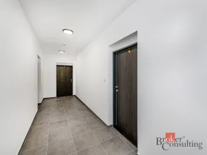Pronájem bytu 2+kk, Plzeň - Jižní Předměstí, Železná, 66 m2