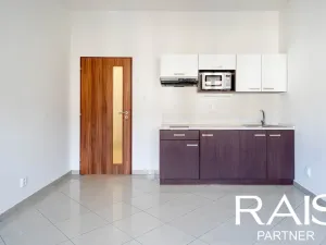 Prodej bytu 1+kk, Brno - Husovice, Svitavská, 30 m2