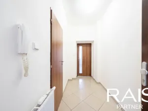 Prodej bytu 1+kk, Brno - Husovice, Svitavská, 30 m2