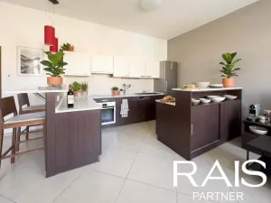 Prodej bytu 2+kk, Brno - Husovice, Svitavská, 79 m2