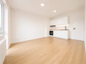 Prodej bytu 2+kk, Praha - Vršovice, U Slavie, 38 m2