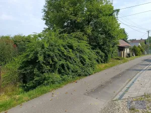 Prodej rodinného domu, Ostrava - Bartovice, U Důlňáku, 208 m2