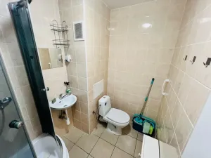 Pronájem bytu 1+1, Dubí, Tovární, 32 m2