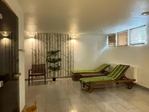Prodej apartmánu, Dolní Morava, 27 m2