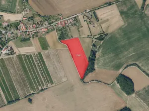 Prodej pole, Kraborovice, 8006 m2
