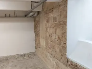 Pronájem - jiné, Praha - Holešovice, Kostelní, 53 m2