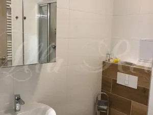 Pronájem bytu 2+kk, Brno - Zábrdovice, Francouzská, 40 m2