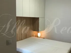 Pronájem bytu 2+kk, Brno - Zábrdovice, Francouzská, 40 m2
