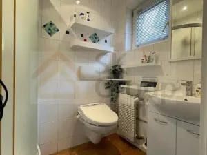 Pronájem atypického bytu, Karlovy Vary, Ondříčkova, 120 m2