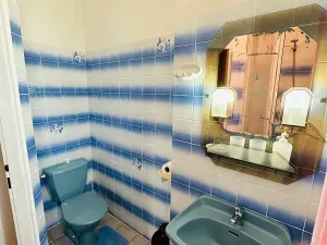 Pronájem apartmánu, Karlovy Vary, Zámecký vrch, 200 m2