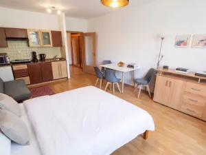 Pronájem bytu 1+kk, Poděbrady, Studentská, 32 m2