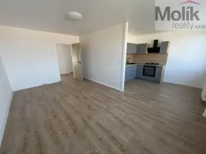 Pronájem bytu 3+1, Most, Česká, 62 m2