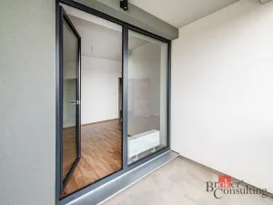 Pronájem bytu 1+kk, Plzeň - Jižní Předměstí, Železná, 34 m2