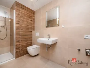 Pronájem bytu 1+kk, Plzeň - Jižní Předměstí, Železná, 34 m2