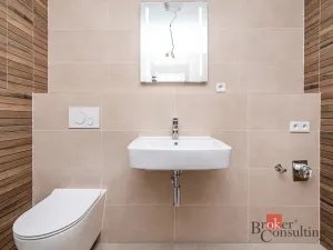 Pronájem bytu 1+kk, Plzeň - Jižní Předměstí, Železná, 34 m2