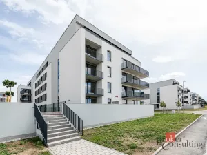 Pronájem bytu 1+kk, Plzeň - Jižní Předměstí, Železná, 34 m2