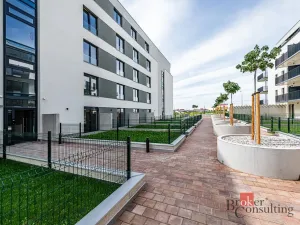 Pronájem bytu 1+kk, Plzeň - Jižní Předměstí, Železná, 34 m2