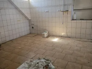 Prodej restaurace, Dolní Dunajovice, Hlavní, 300 m2