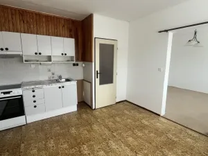 Prodej bytu 1+1, Děčín - Děčín XXVII-Březiny, Kosmonautů, 36 m2