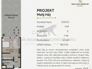 Prodej bytu 2+kk, Praha - Dolní Měcholupy, Honzíkova, 41 m2