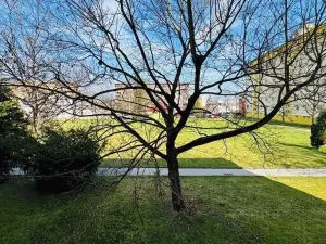 Pronájem bytu 3+1, Třebíč, Družstevní, 69 m2