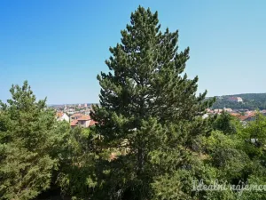 Pronájem bytu 2+1, Náměšť nad Oslavou, Zborovská, 48 m2