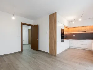 Pronájem bytu 3+kk, Teplice, Novoveská, 62 m2