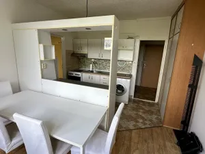 Pronájem bytu 1+1, Plzeň - Skvrňany, Lábkova, 38 m2