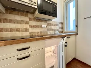Pronájem bytu 1+kk, Praha - Nové Město, Vodičkova, 31 m2