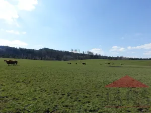 Prodej pozemku pro bydlení, Janovice nad Úhlavou, 7774 m2