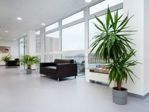 Prodej ordinace, Brno - Královo Pole, Malátova, 4000 m2